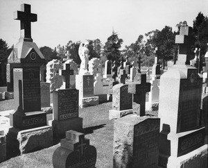 A crowd of headstones