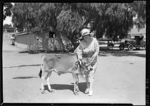 Mrs. Bain & calf, La Lomita Rancho, Southern California, 1927