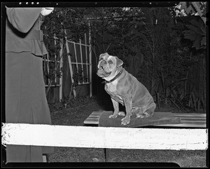 Miss McKey and her dog, 319 Randolph Street, Pomona, CA, 1940