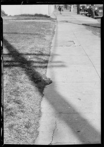 Sprinkler head, lawn of Dannell's laundry, Southern California, 1931