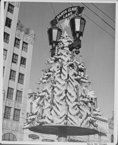 A lamp post becomes a Christmas tree as Hollywood Boulevard is turned into Santa Claus Lane for the Holidays