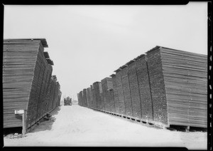 Lumber yard at Gibson Lumber, Long Beach, CA, 1927