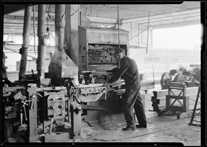 Hammond Lumber Co. machine at work, Southern California, 1930