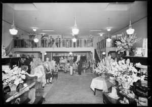 Interiors of opening new stores, Southern California, 1929