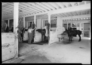 Hollywood L.A. Creamery, Southern California, 1925