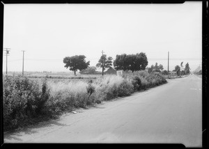 1925 Dodge roadster - Ford sedan and intersection of National Boulevard & Sawtelle Boulevard, Grace Abbot, assured, file #8756, policy #491449, Los Angeles, CA, 1934