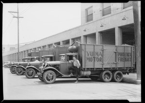 Fleet of trucks, Southern California, 1931