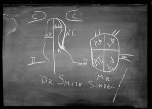 Blackboard of Heart Action, Department 42, Superior Court, Los Angeles, CA, 1933