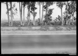 Street scenes near Hawthorne, Southern California, 1926