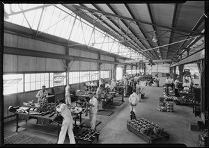 Interiors of airplane motor factory, Southern California 1929