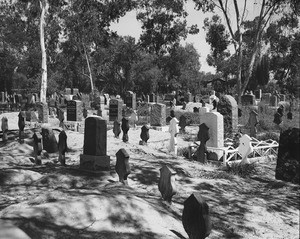 Rows of headstones in the cemetery