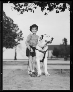 Preview of mutt show, Balto Dog Food, Southern California, 1931