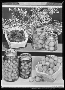 Set up with Kerr jars, Kerr Manufacturing Co., Southern California, 1940