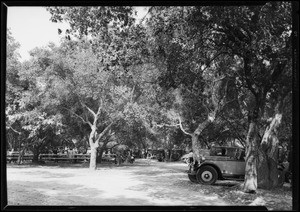 Glen Oaks, Southern California, 1927