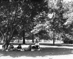 A group of women relaxing in the shade of a tree filled park