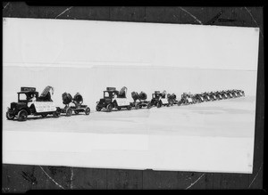 Composite of fleet of power wagons, Southern California, 1931