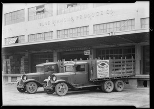 Blue Diamond Produce Co. trucks, Southern California, 1932