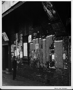 Man looking at wall of posters, posted bills in Chinatown