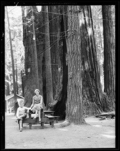 Scenes at San Francisco and St. Helena, CA, 1931