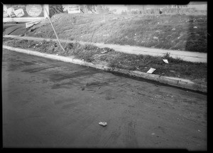 Curbing near West Pico Boulevard & South Western Avenue, Los Angeles, CA, 1931