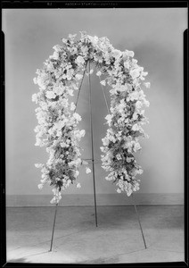 Horseshoe of flowers, Southern California, 1930