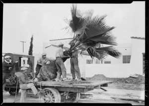 Walter H. Leimert, Southern California, 1926