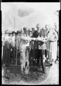 Planting June Berry tree from West Virginia, Southern California, 1928