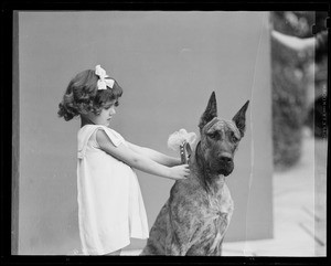 Little girl with Great Dane dog, Southern California, 1935