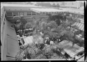 Roof garden cafe, Broadway Department Store, Los Angeles, CA, 1925