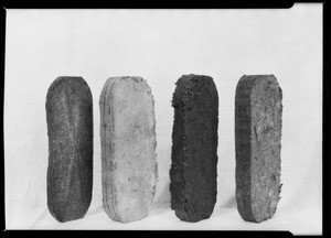 Fernholtz food waste briquettes, Southern California, 1926
