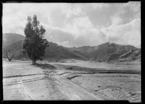 Pastoral scene near Newhall, Southern California, 1930