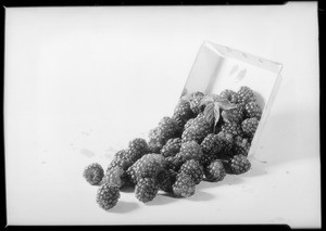 Rug, pie, glasses & berries, Southern California, 1931