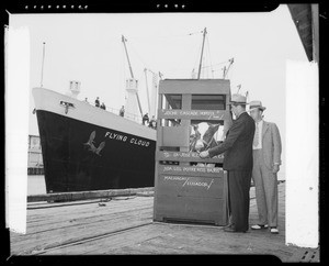 Prize bull being shipped to Ecuador aboard the Flying Cloud, Los Angeles, CA, 1940