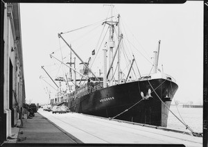 Loading shipment aboard Arizonan - American Hawaiian Line, Southern California, 1929