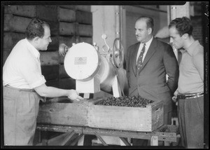 Interiors at plant, Los Angeles Nut House, 722 Market Court, Los Angeles, CA, 1934