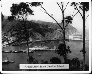 A view across Avalon Bay on Santa Catalina Island