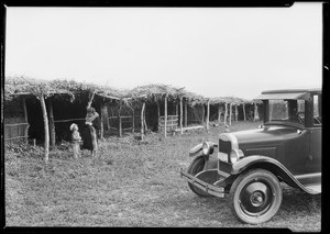 Ramada built by Soboba Indians, Southern California, 1926