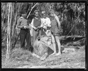 Young Tarzan with lion, Southern California, 1933