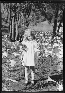 Rabbit for Easter, Southern California, 1928