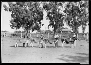 La Lomita Rancho, Southern California, 1925