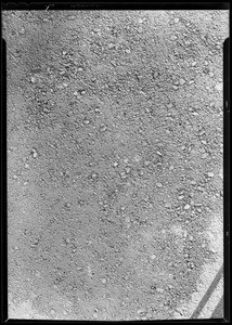 Section of asphalt sheet, Southern California, 1931