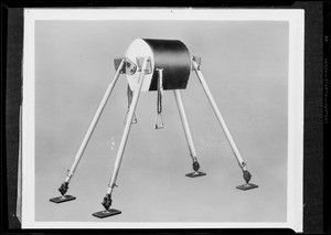 Polo horse, Bob Harasta, Southern California, 1931