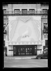 Elk's display daytime, Southern California, 1929