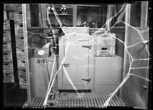 Interior & exterior of Pellisier dairy truck, Southern California, 1936