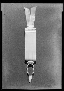 Phantom garter, Southern California, 1933