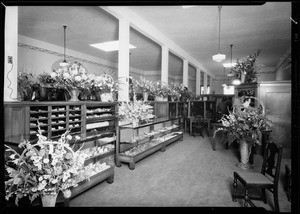 Opening new store on Pacific Avenue, Southern California, 1929