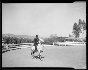 Horses at Kellogg Ranch, Southern California, 1933