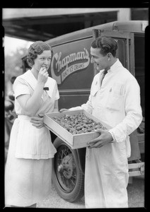 First load of strawberries, Southern California, 1932