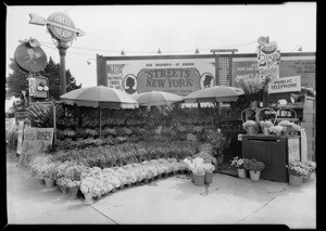 Flower shop, South Western Avenue and West Pico Boulevard, Los Angeles, CA, 1929