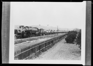 Trains of oil cars, Pennzoil Co., Southern California, 1930